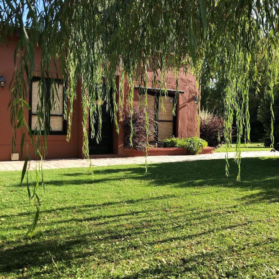 Cabanas La Cosecha San Rafael (Mendoza) Exterior foto