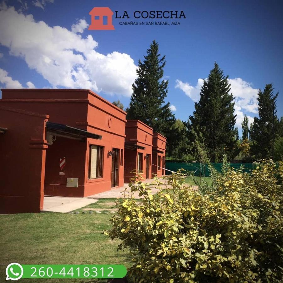 Cabanas La Cosecha San Rafael (Mendoza) Exterior foto