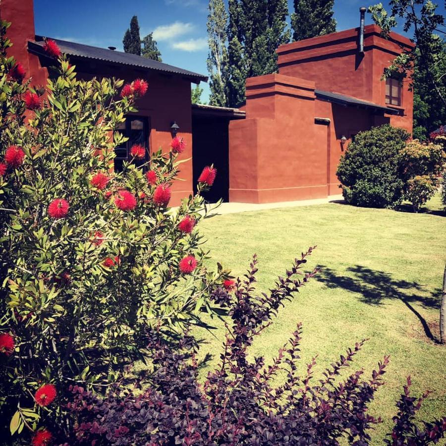 Cabanas La Cosecha San Rafael (Mendoza) Exterior foto